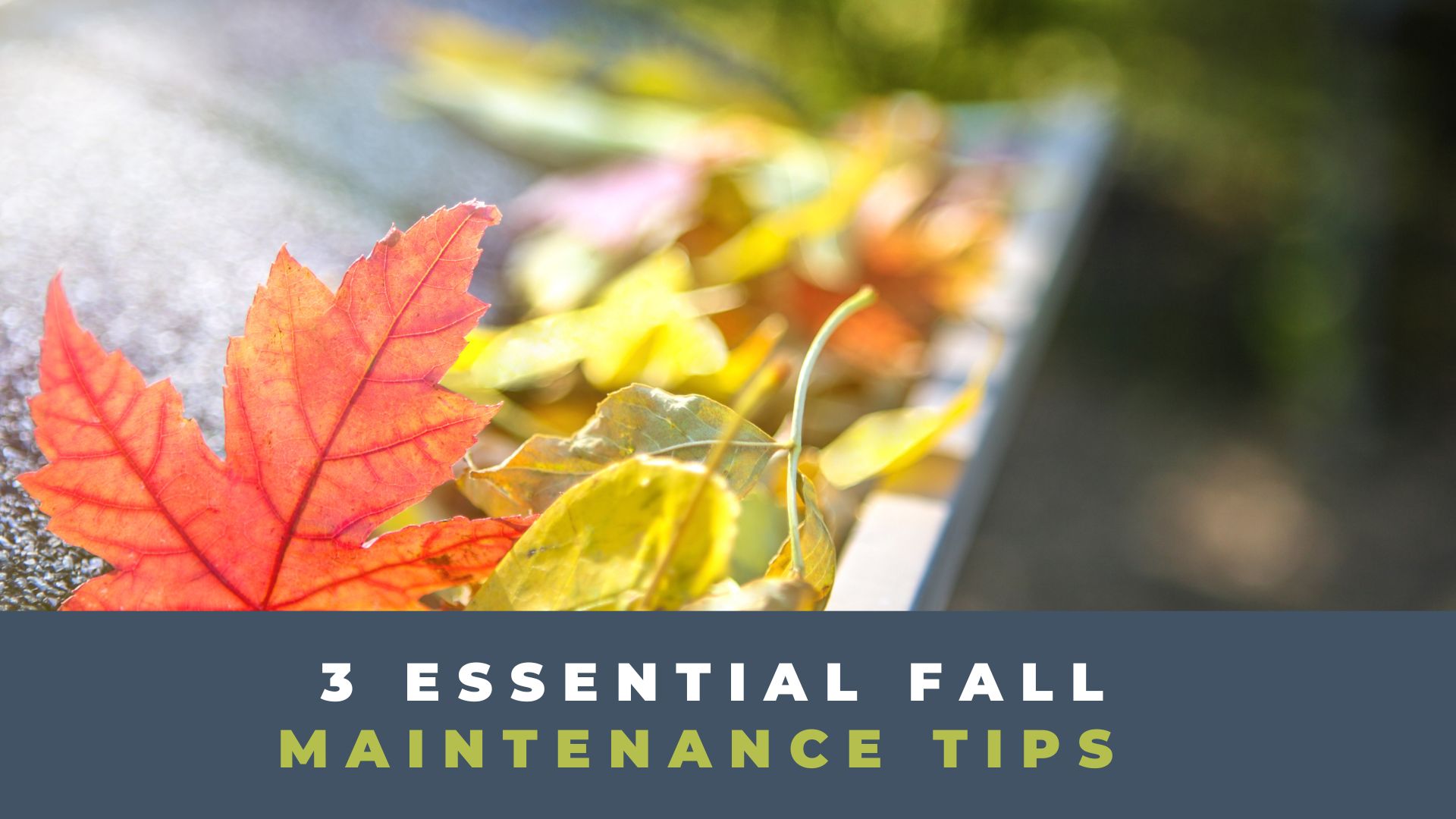 Home Fall Maintenance Tips Conner Homes Pacific Northwest Home Builders   6362a58522a4c